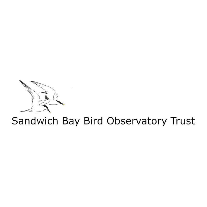 Image of Sandwich Bay Bird Observatory Trust