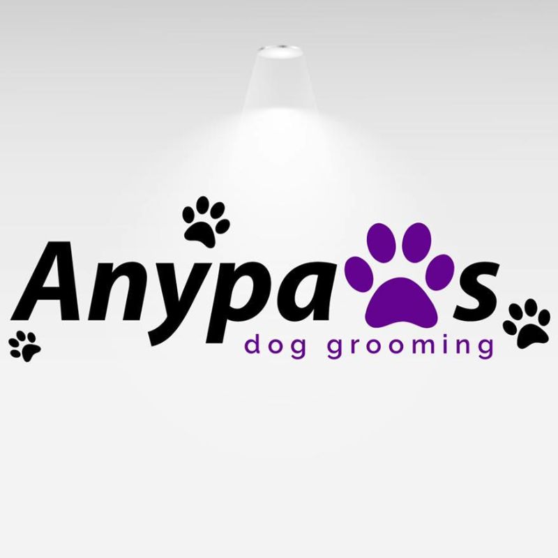 Image of Any Paws Dog Grooming
